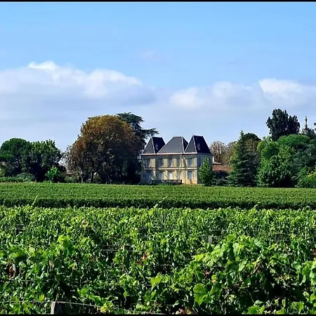 Chateau Tanesse De Tourny Holiday home Bayon
