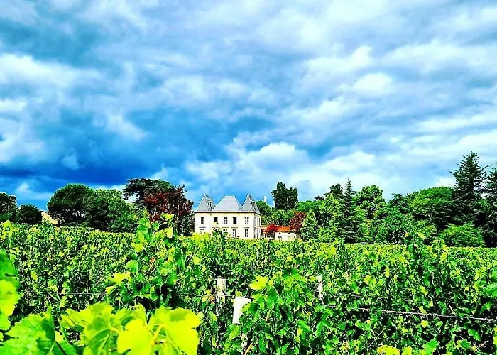 Chateau Tanesse De Tourny